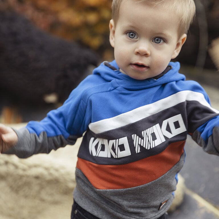 Trui hoody (bright blue/grey melee)