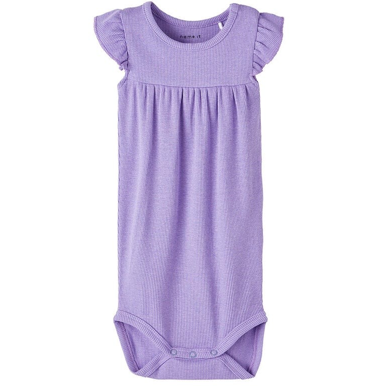 Rompertje Jina (aster purple)