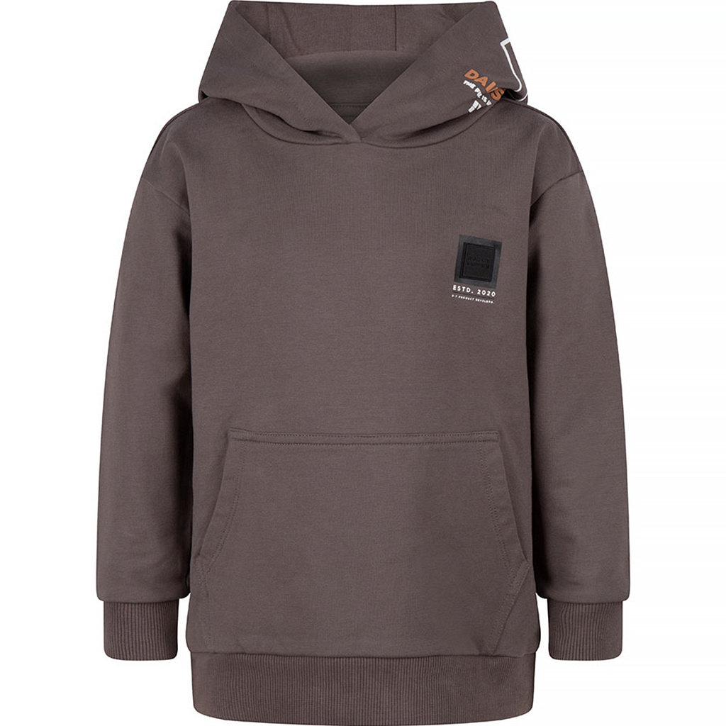 Trui hoodie (smoke grey)