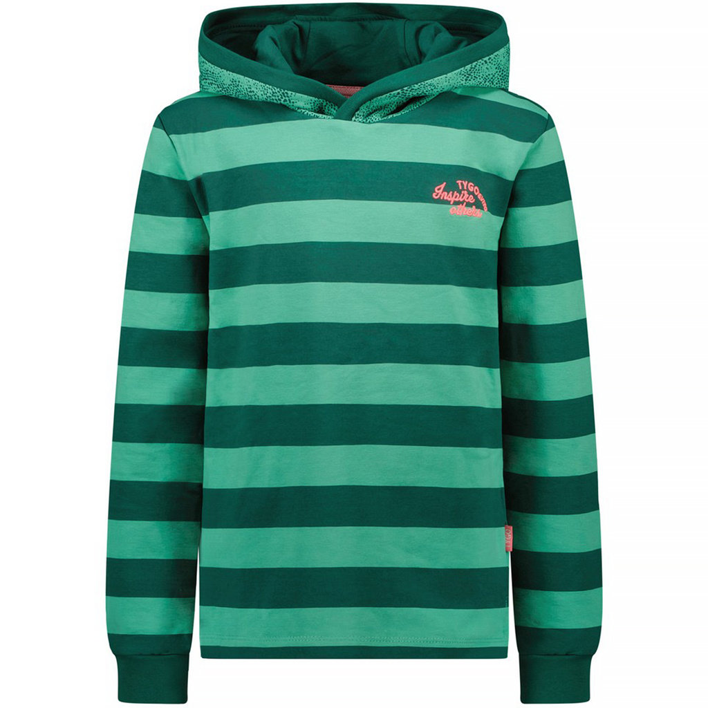 Trui hoodie (winter green)