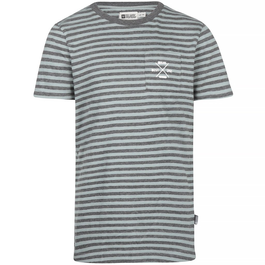 T-shirt (light slate)