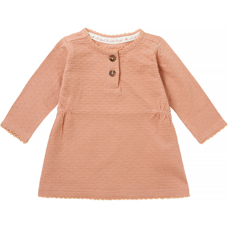 Jurkje Norlina (rose dawn)