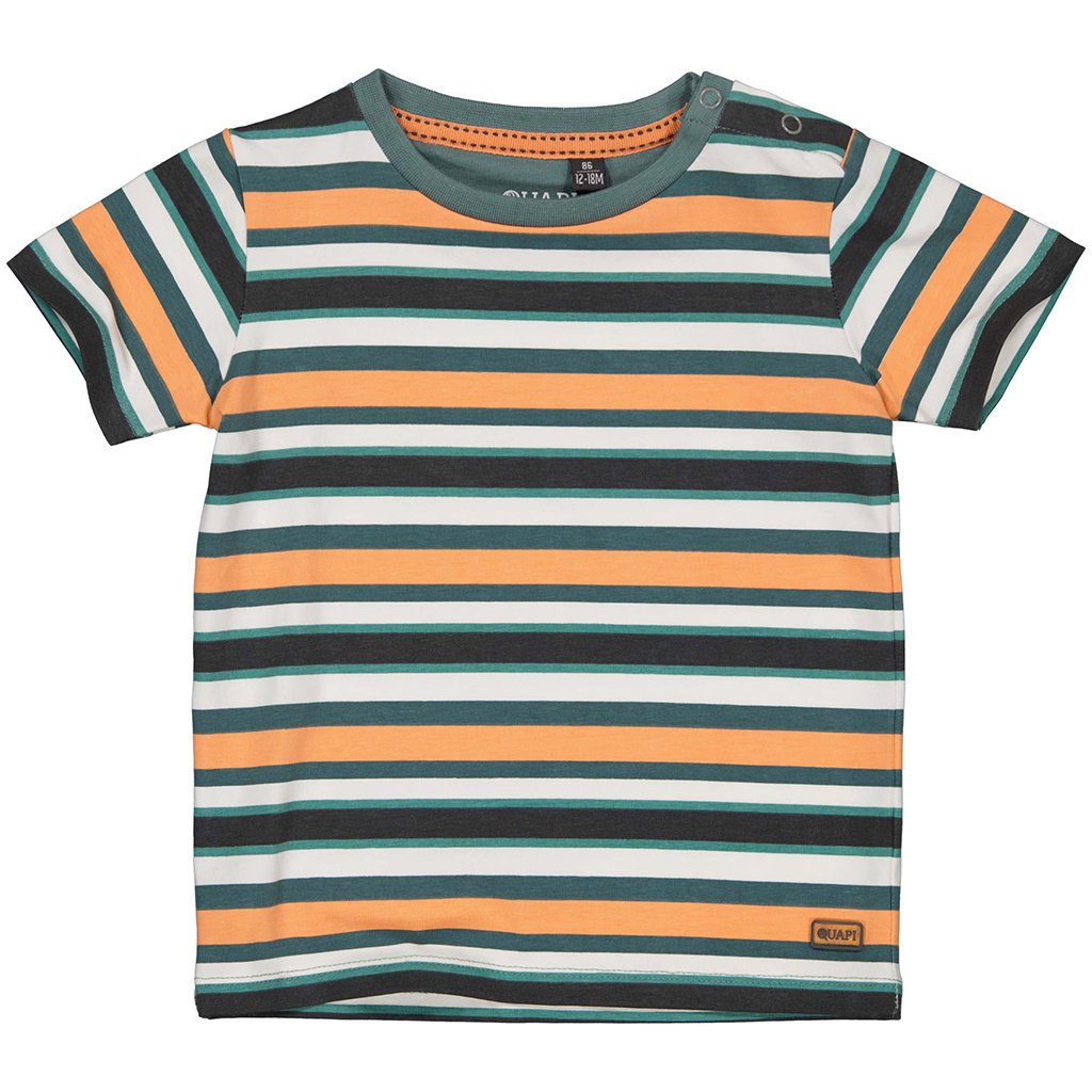 T-shirtje Vadim (aop multi colour stripe)