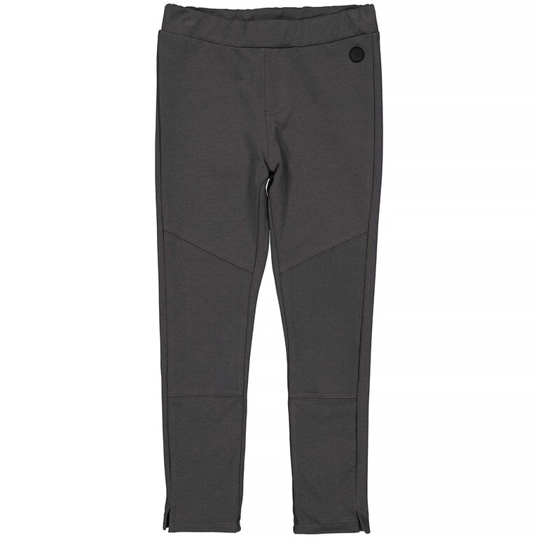 Broek/tregging Dian (grey)