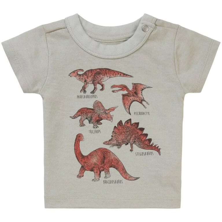 T-shirt Momence (willow grey)