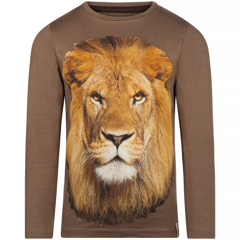 Longsleeve (faded brown)