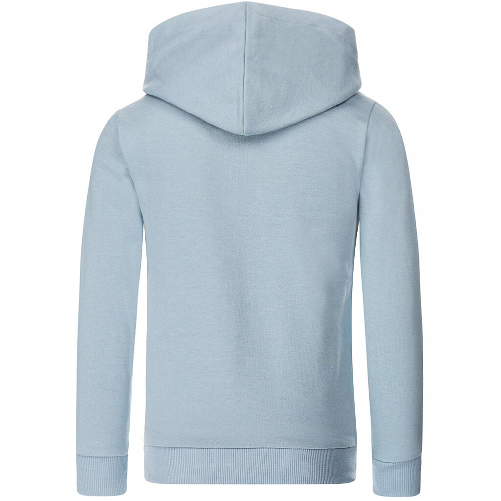 Trui hoodie (faded blue)