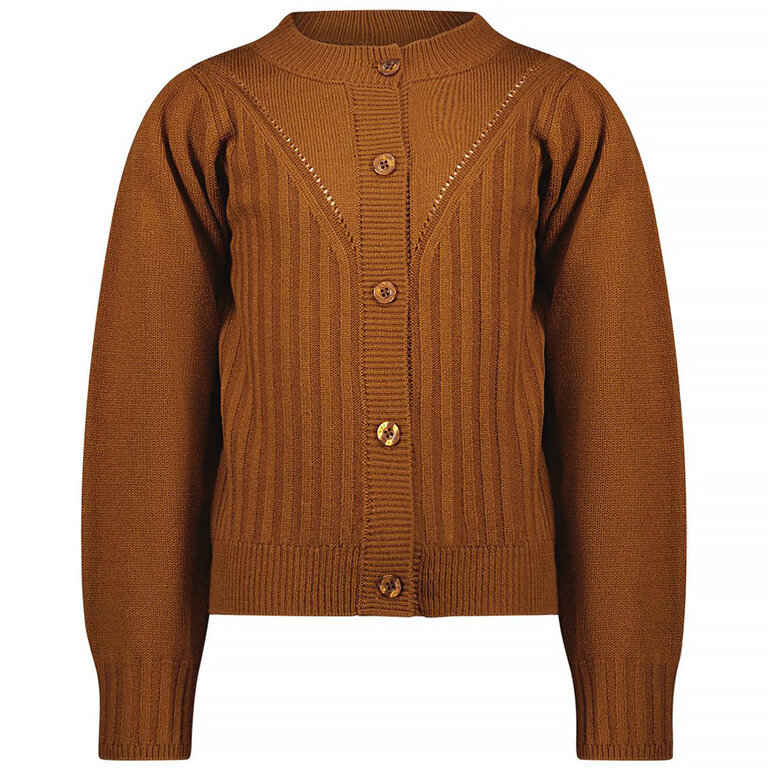 Gebreid vest B.Awesome (gingerbread)