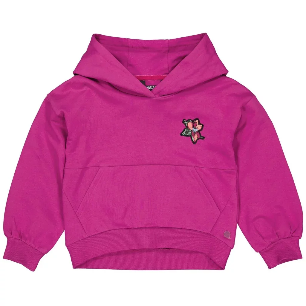 Trui hoodie Alou (purple rouge)