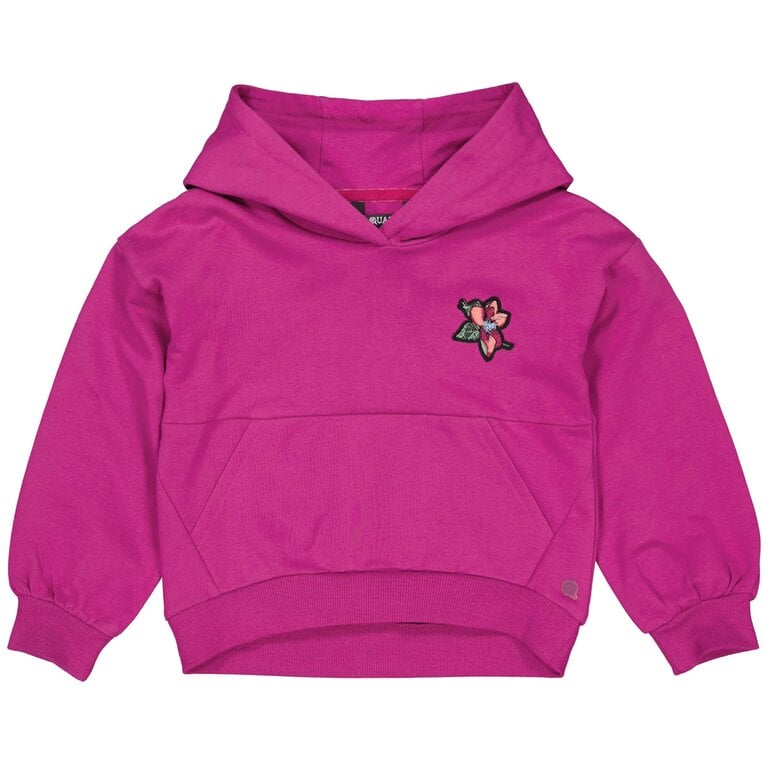 Trui hoodie Alou (purple rouge)