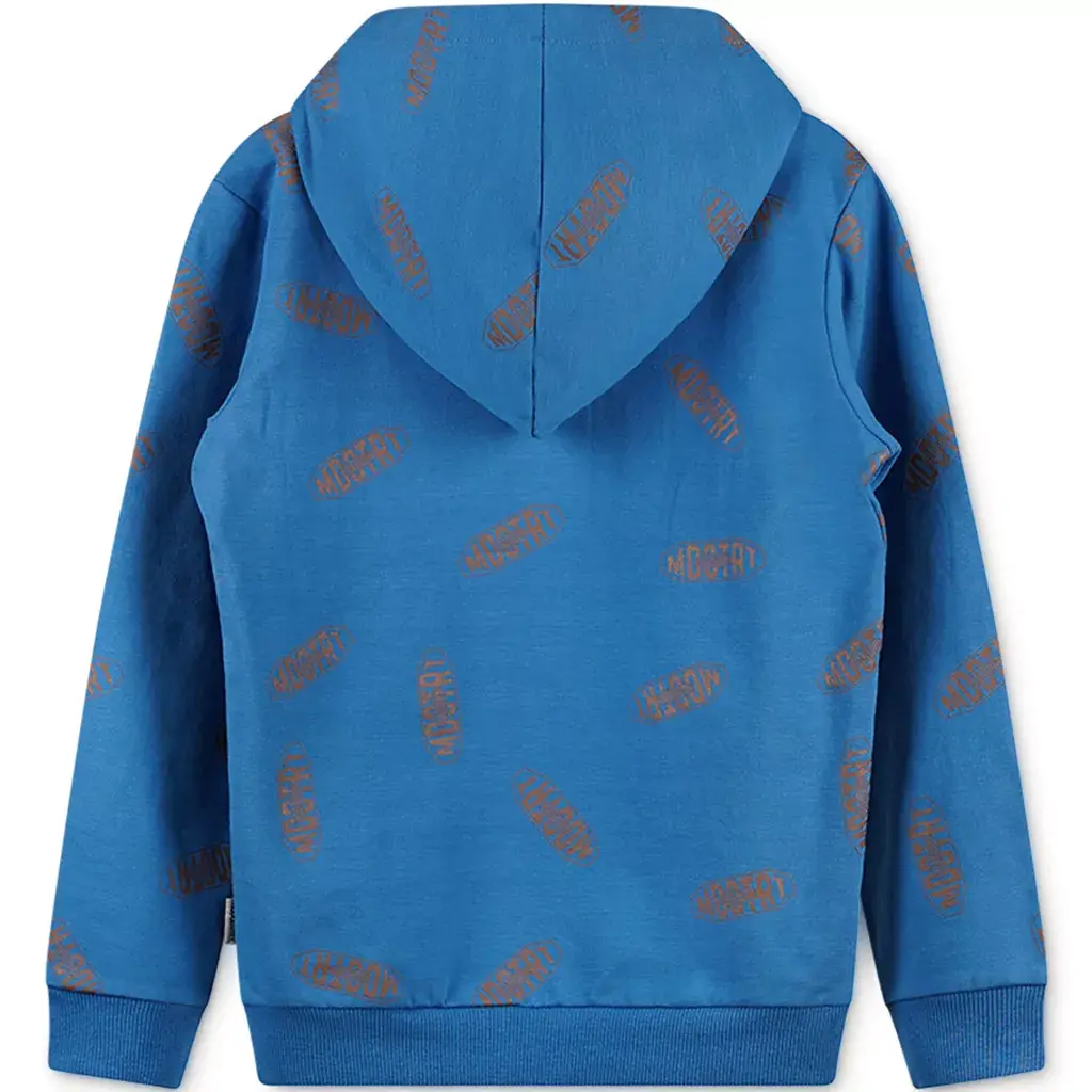 Trui hoodie (sporty blue)