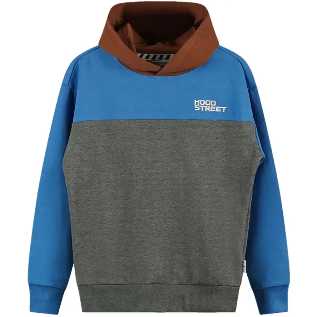Trui hoodie (sporty blue)
