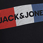 Jack and Jones Trui hoodie LOGO (black)