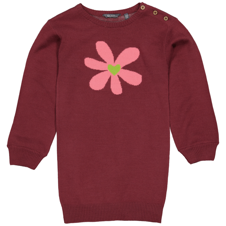 Jurk Aeden (bordeaux)