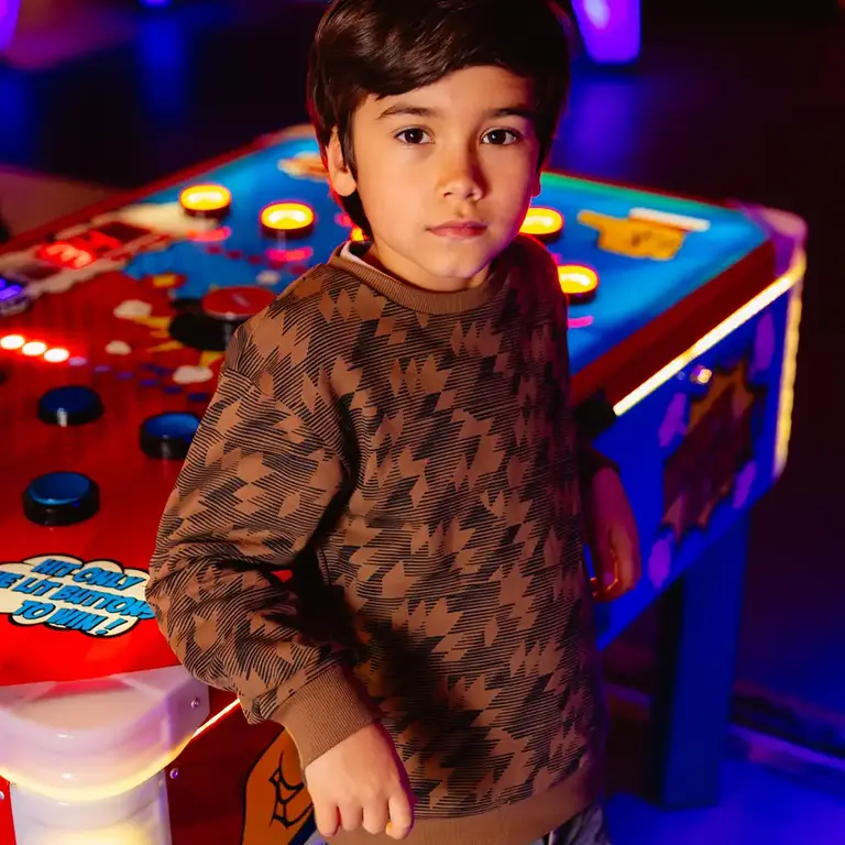 Trui Ahrem (aop brown graphic)