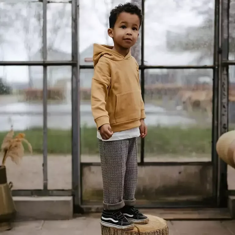 Trui Gregy (chestnut)