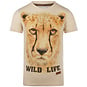 KOKO NOKO T-shirt lion (off white)