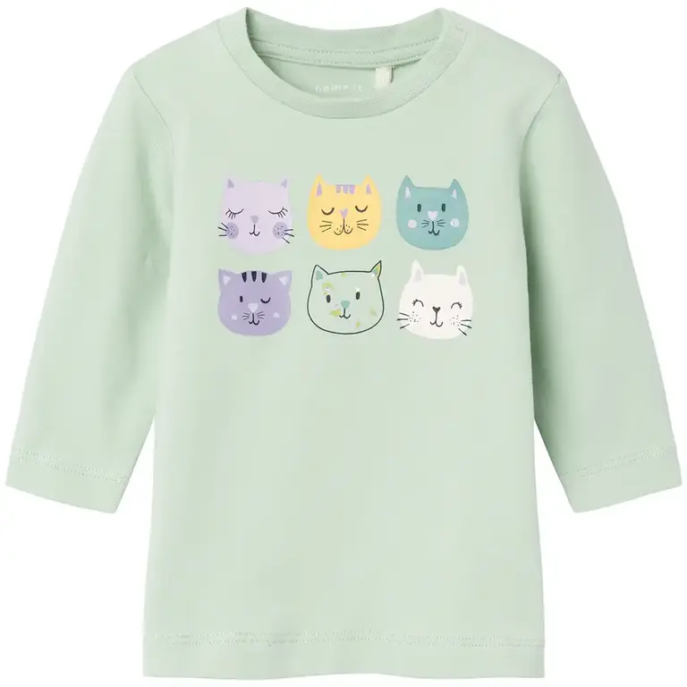 Longsleeve Dassel (silt green)