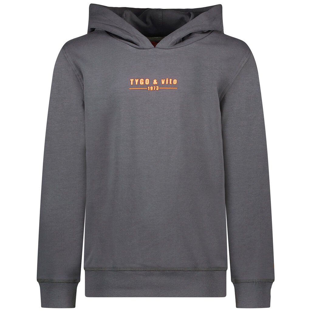 Trui hoodie Hugo (grey)