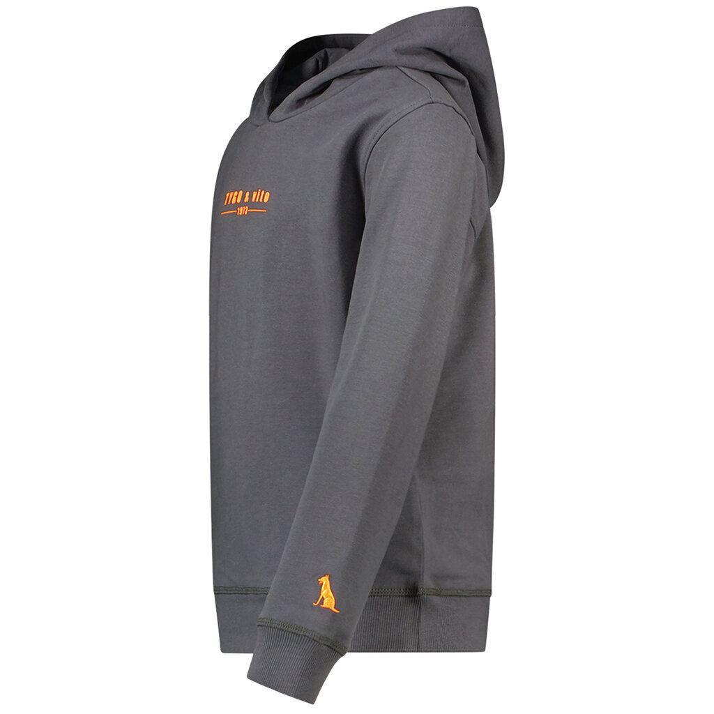 Trui hoodie Hugo (grey)