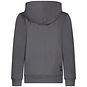 TYGO & Vito Trui hoodie Hugo (grey)