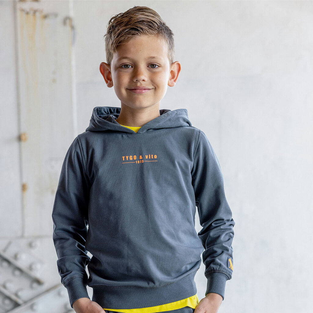 Trui hoodie Hugo (grey)