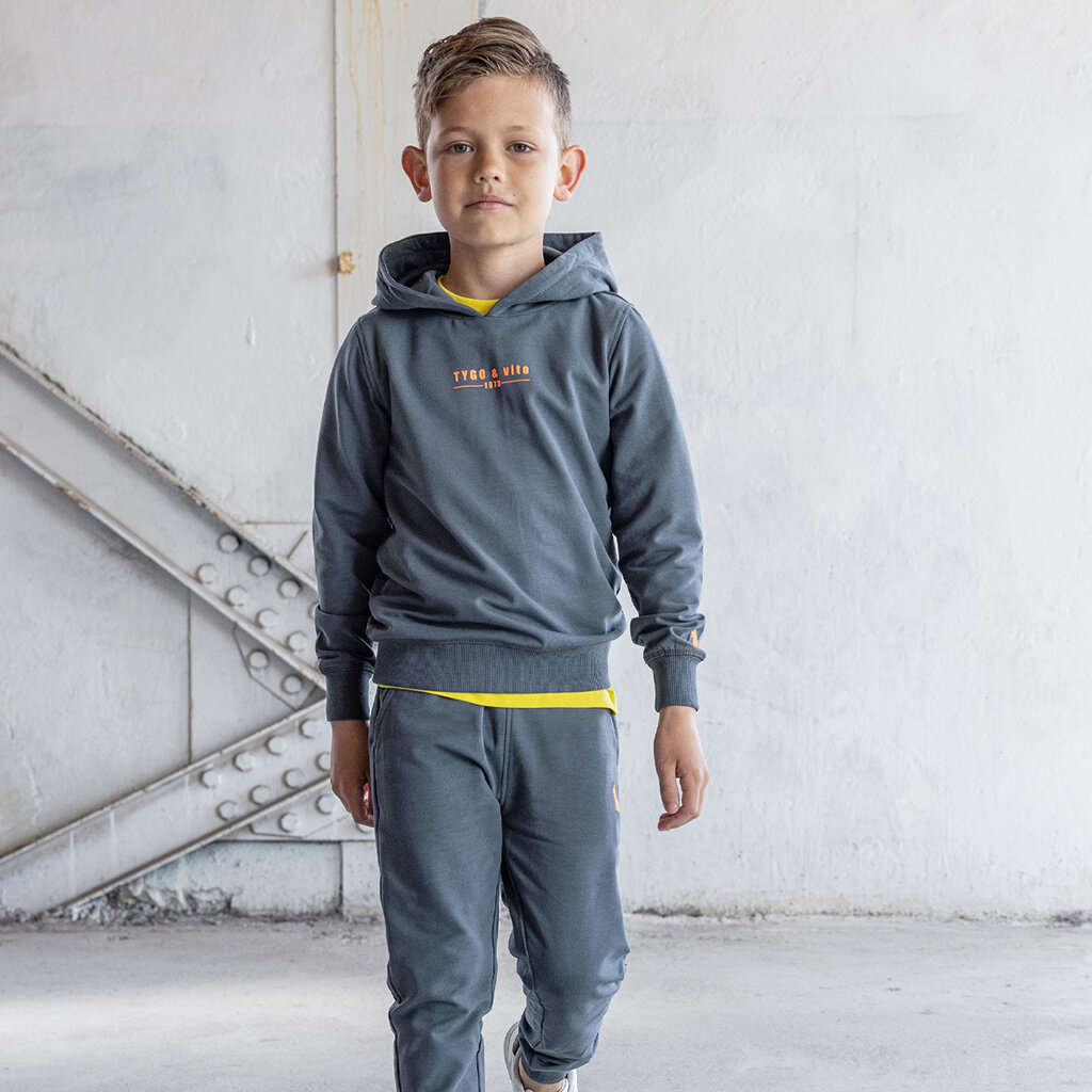 Trui hoodie Hugo (grey)