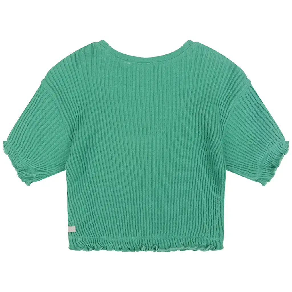T-shirt Fancy (green sea)