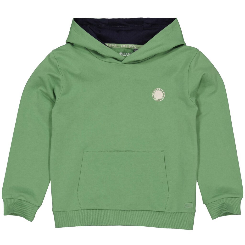 Trui hoodie Bert (green)