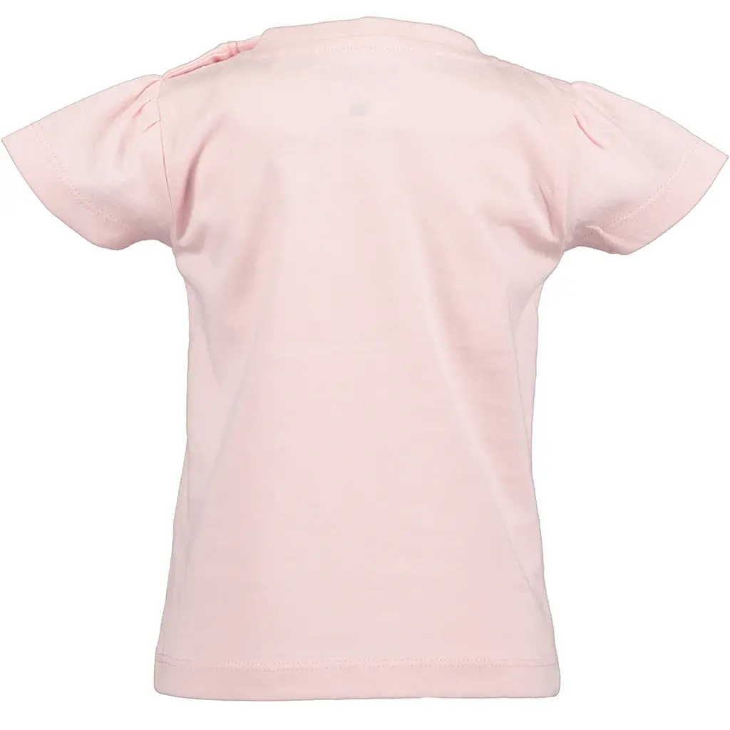 T-shirtje rainbow (rose orig)