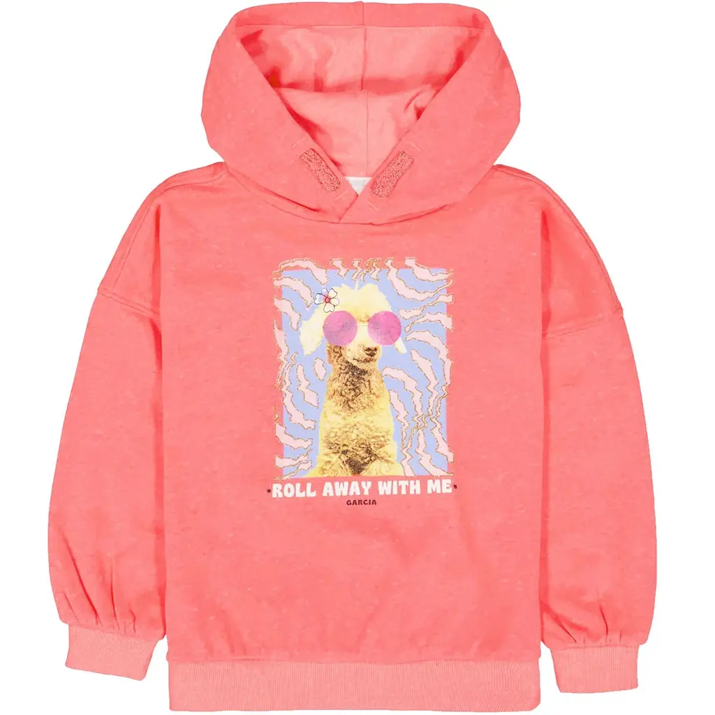 Trui hoodie (shocking pink)