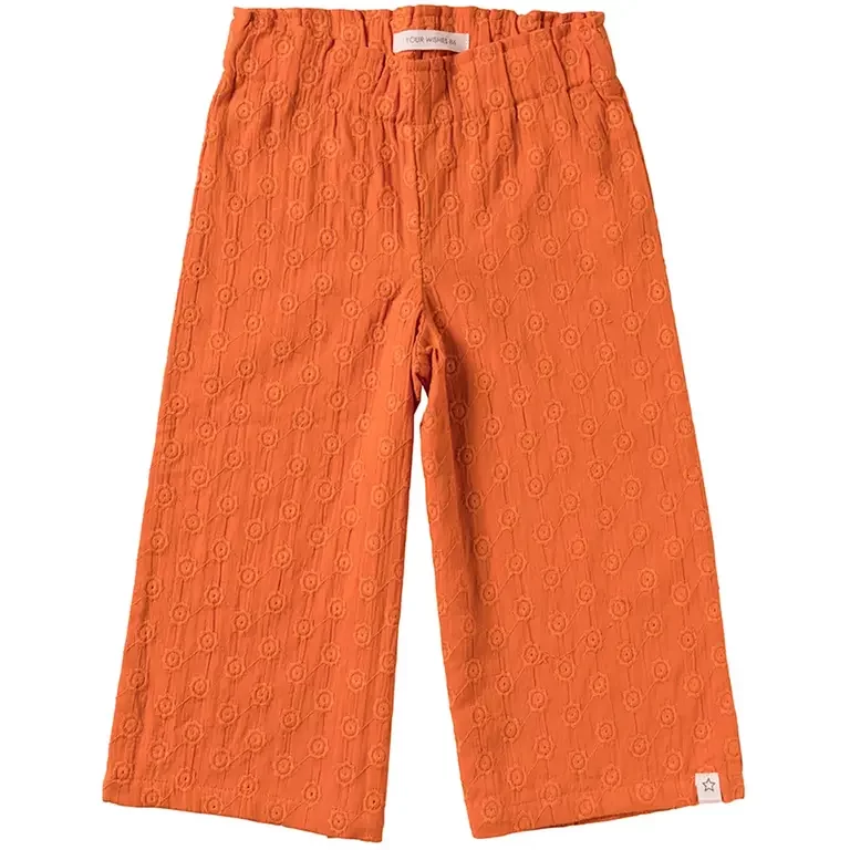 Broek Bar (apricot brandy)