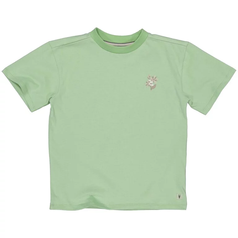 T-shirt oversized Kami (soft green)