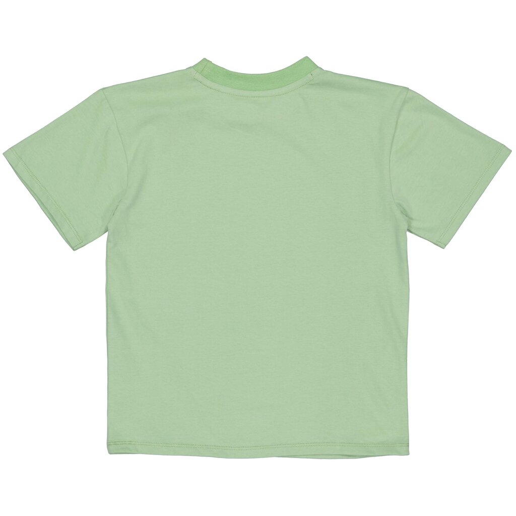 T-shirt oversized Kami (soft green)