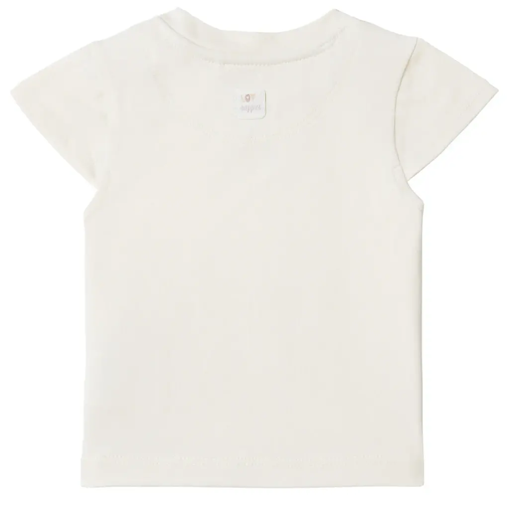 T-shirtje Cottonwood (whitecap gray)