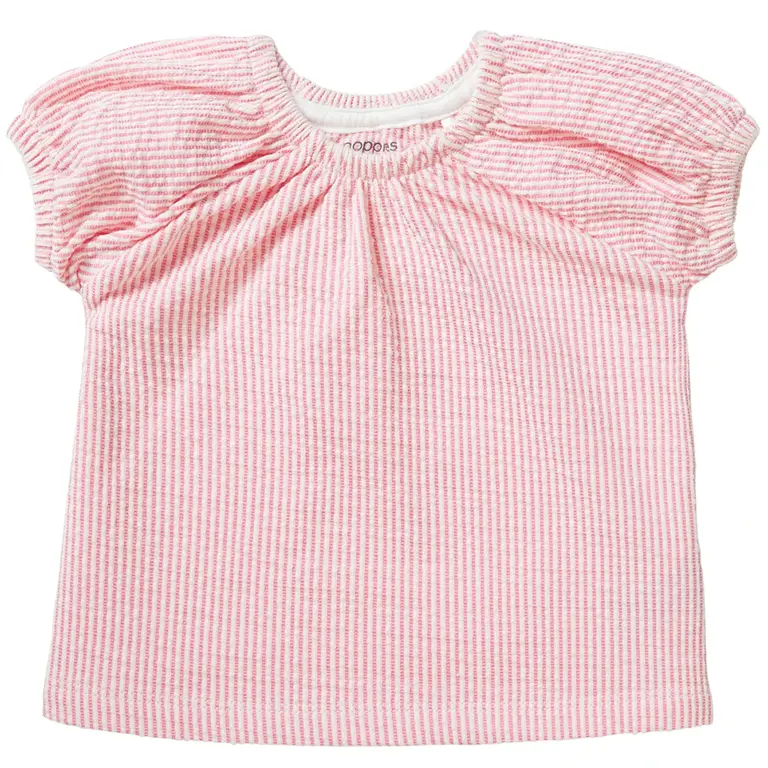 Top Claremont (camelia rose)