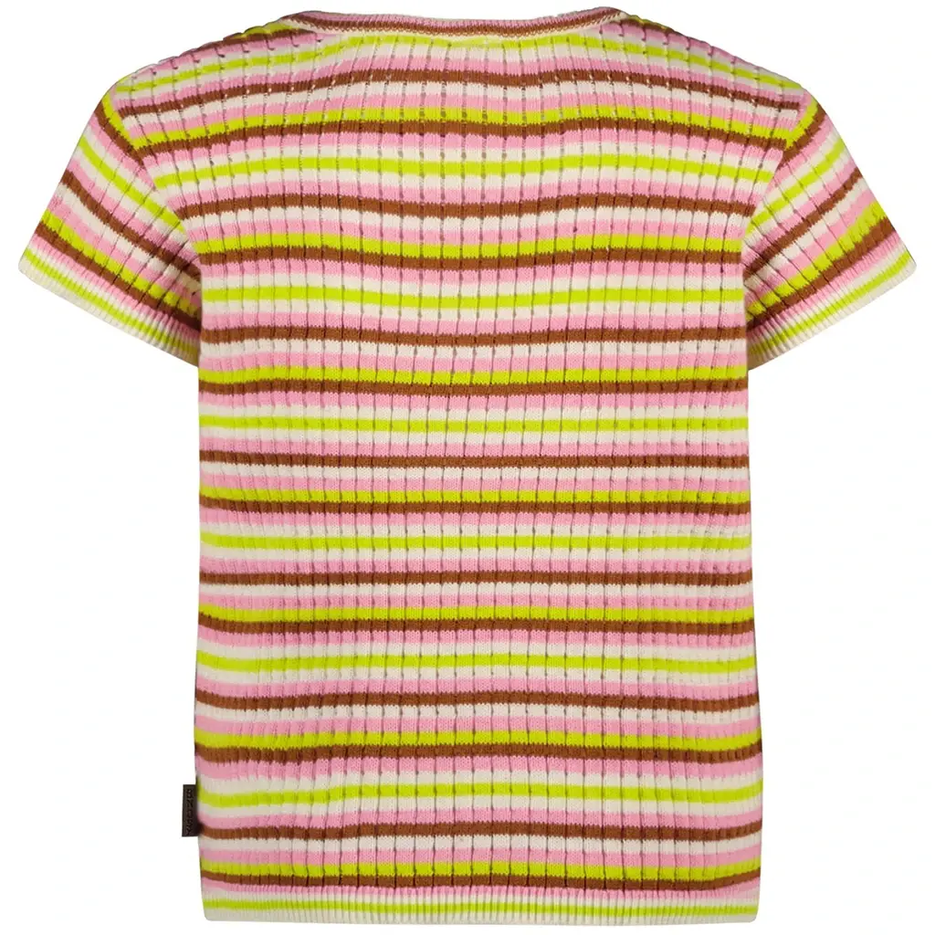 T-shirt B. Glossy (glossy stripes)