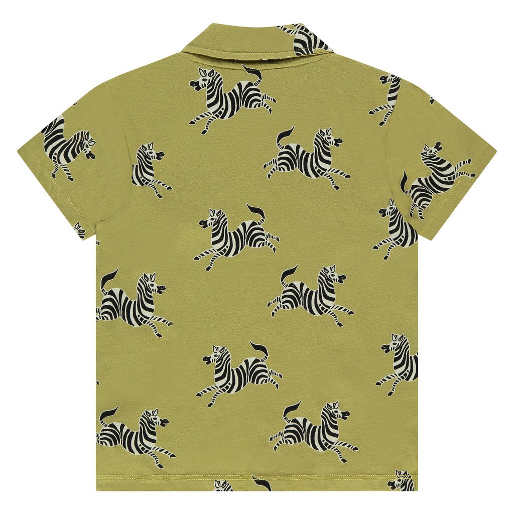 Overhemd (kiwi)