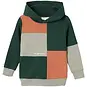 Name It Trui hoodie Lyne (pine grove)