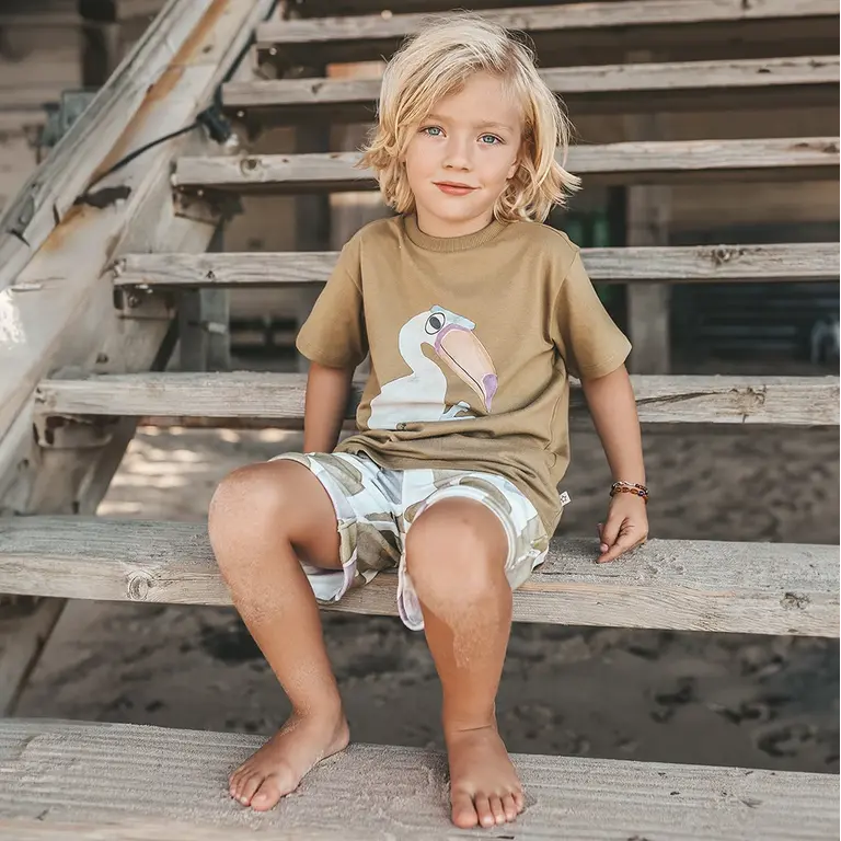 Korte broek Remo (multicolor)