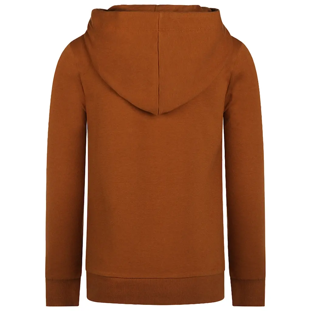 Trui hoodie (brown)