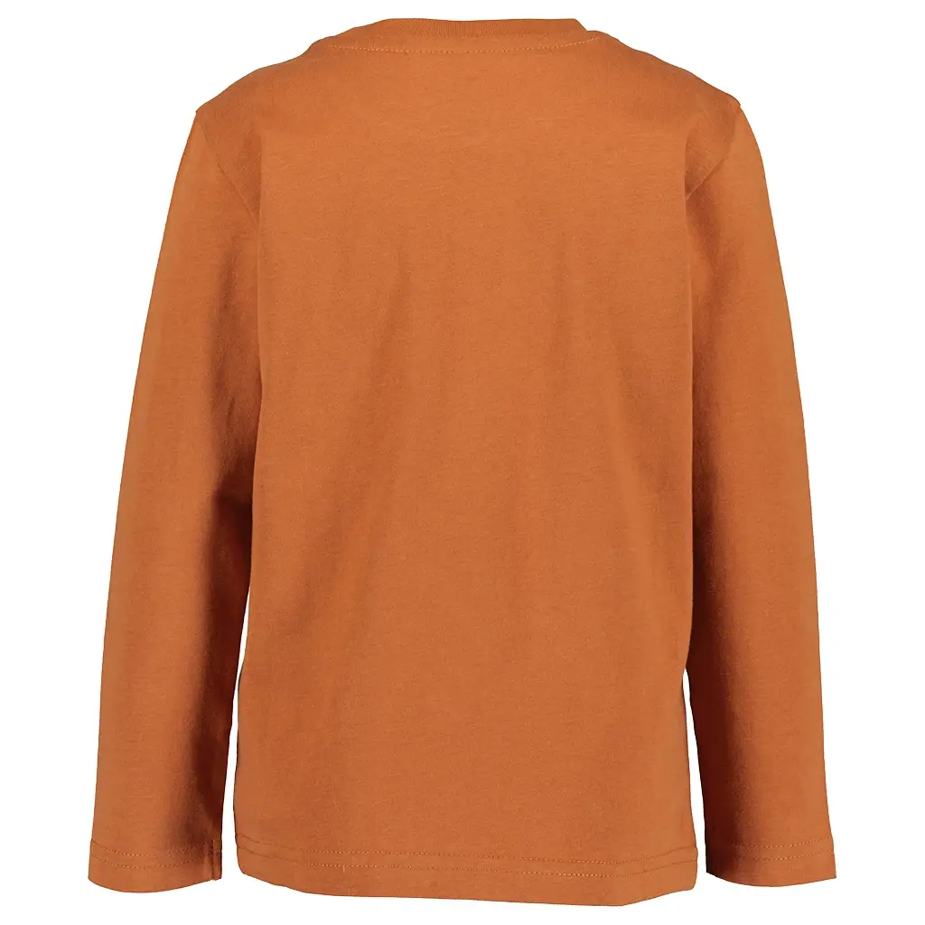 Longsleeve (copper)