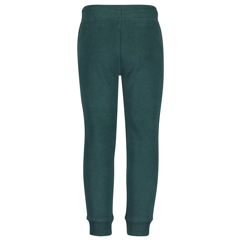 Joggingbroek (fir)