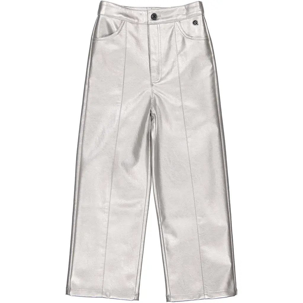 Broek (silver)