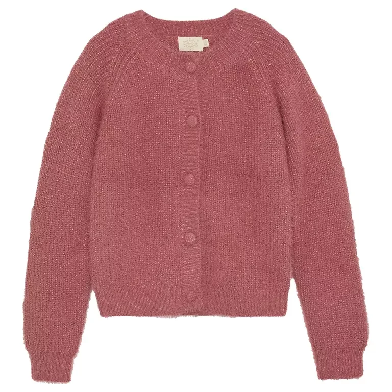 Gebreid vest (mesa rose)