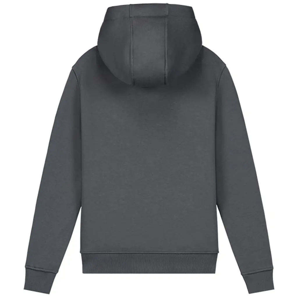 Trui hoodie (dark grey/ice blue)