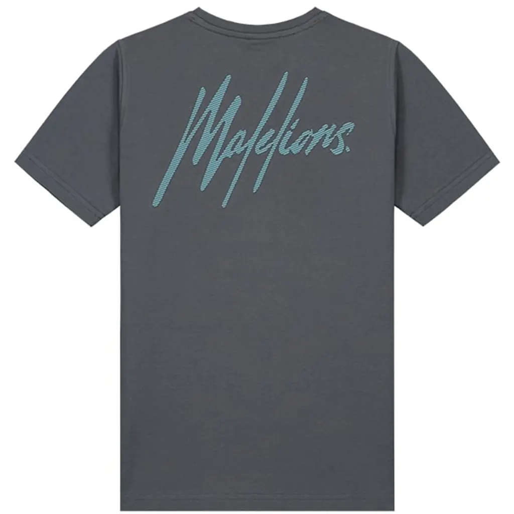 T-shirt (dark grey/ice blue)