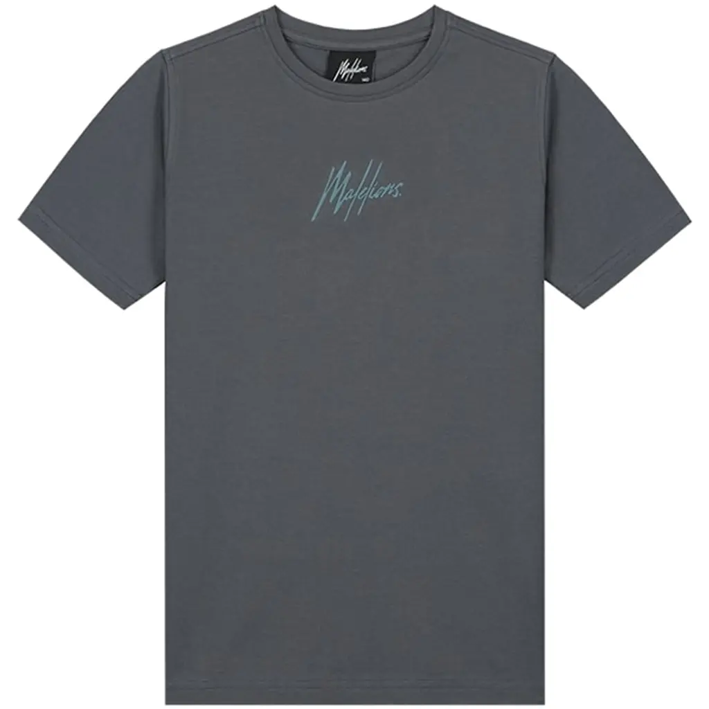 T-shirt (dark grey/ice blue)