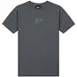 Malelions T-shirt (dark grey/ice blue)