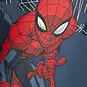 Name It Trui Spiderman Asist (bering sea)